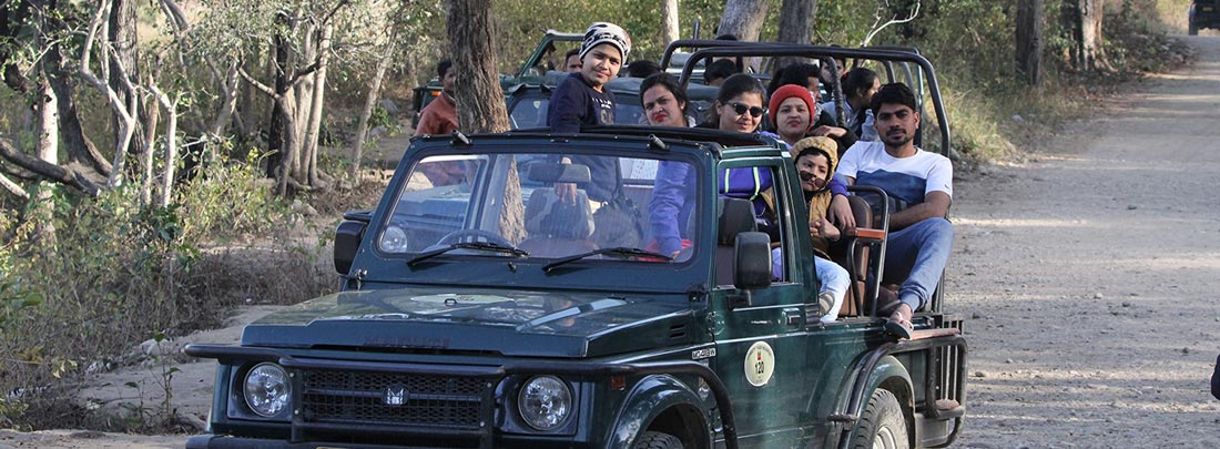 jeep safari booking